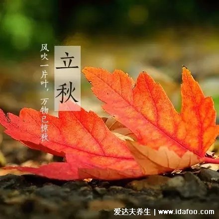 立秋吃餃子的寓意是什么，貼秋膘滋補(bǔ)身體(由陽(yáng)盛轉(zhuǎn)為陰盛)