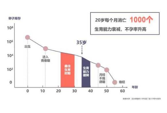 40歲試管成功率有多大，成功率較低可能30%(情況因人而異)