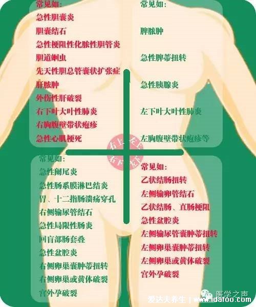 女性闌尾炎的疼痛位置圖片，會(huì)轉(zhuǎn)移性右下腹按壓痛(剛開始上腹肚臍疼)