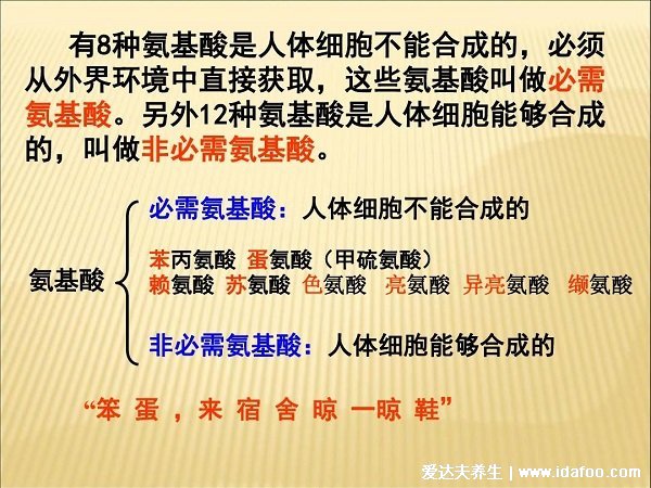 人體三大營養(yǎng)素是哪三種，糖類/脂肪/蛋白質(zhì)(附蛋白質(zhì)含量最高食物)