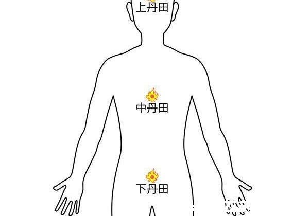 前列腺在哪位置圖，肛門內(nèi)2厘米處摸到的較硬球形(附按摩手法)