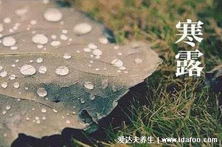 霜降節(jié)氣的含義是什么意思，是秋季最后一個(gè)節(jié)氣(離冬天不遠(yuǎn)了)