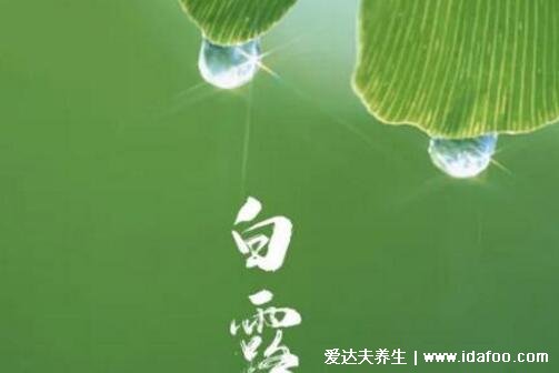 霜降節(jié)氣的含義是什么意思，是秋季最后一個(gè)節(jié)氣(離冬天不遠(yuǎn)了)