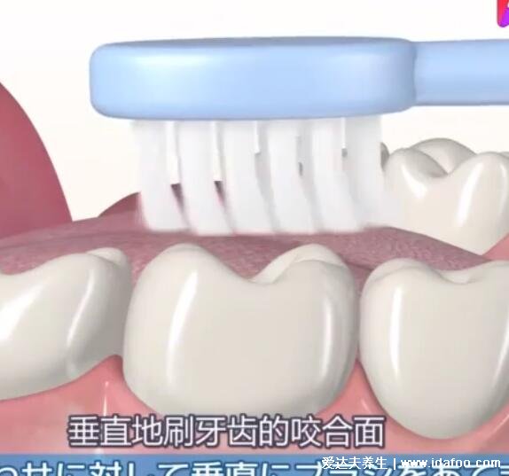 電動牙刷的正確使用方法，幾個步驟教你有效刷牙(握法也重要)