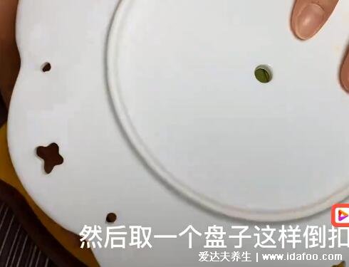 芒果怎么切好看又簡單，用盤子和牙簽切出好看芒果(附視頻圖片)