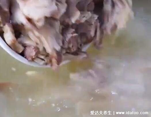 羊肉湯的做法及配料羊肉湯怎么熬，只需要生姜蔥等調(diào)料（附視頻做法）