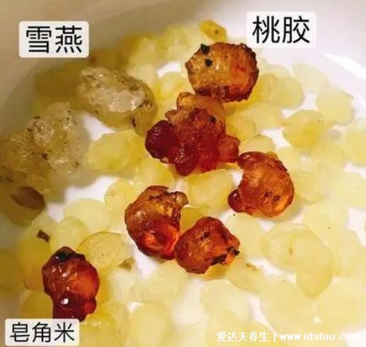 桃膠雪燕皂角米的功效與作用禁忌，美容養(yǎng)顏但孕婦不要吃(影響胎兒)