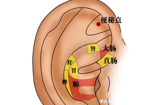 5個1分鐘快速拉出大便的方法，喝一勺植物油比開塞露還有效