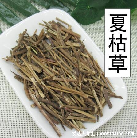 夏枯草圖片大全，夏枯草可以幫助清火(可用于藥用也可食療)