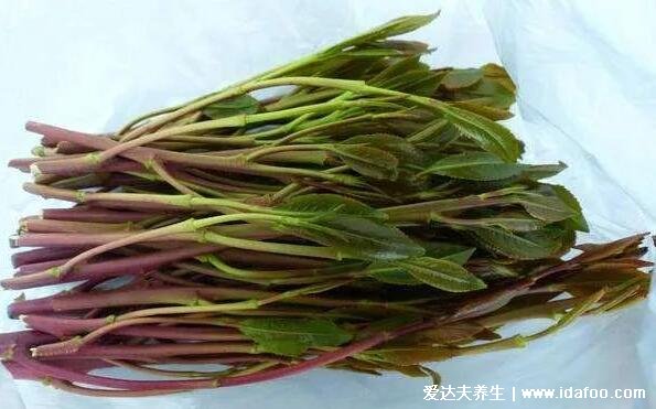 新型毒品阿拉伯茶圖片，外形像茶葉和莧菜千萬別碰