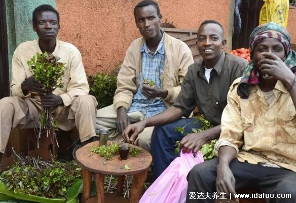 新型毒品阿拉伯茶圖片，外形像茶葉和莧菜千萬別碰