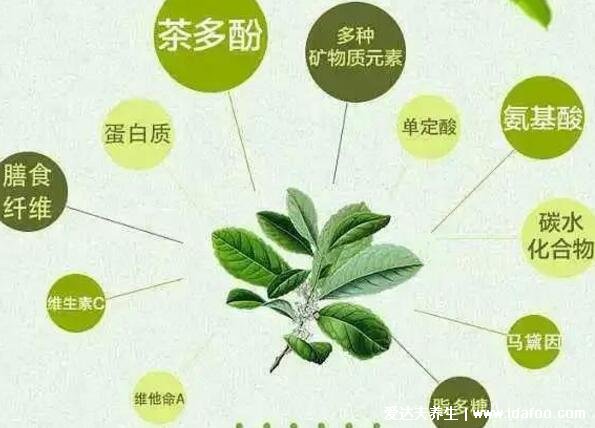 馬黛茶的功效與作用，與酒精共飲增加患癌風(fēng)險(xiǎn)(附副作用)