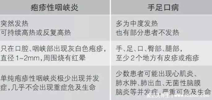 手足口病癥狀圖片及發(fā)展過程演示圖，長(zhǎng)紅色丘疹和皰疹伴隨低燒