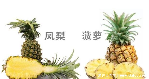 鳳梨要用鹽水泡嗎，可以不用但鹽水泡提升口感(注意鳳梨和菠蘿的區(qū)別)