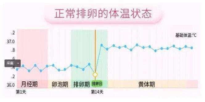 排卵期的八個(gè)征兆，注意留意白帶以及體溫變化(附排卵試紙圖解)