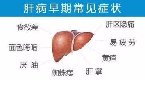 肝病早期可能有6個征兆，持續(xù)低熱/乏力/食欲減退是常見癥狀