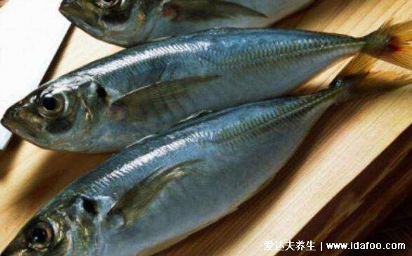 巴浪魚為什么那么便宜，蛋白質(zhì)豐富口感勝過雞肉但產(chǎn)量極大