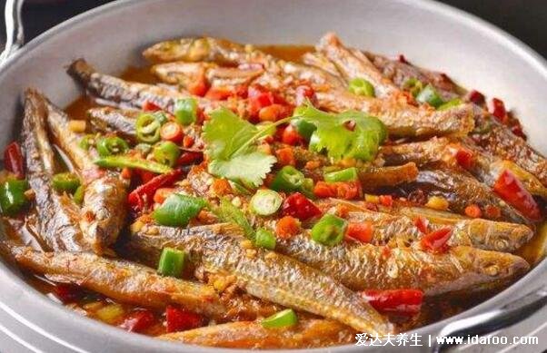 巴浪魚為什么那么便宜，蛋白質(zhì)豐富口感勝過雞肉但產(chǎn)量極大