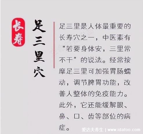 找足三里最笨的方法圖片，握一下膝蓋就能找到準(zhǔn)確位置