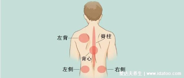 男女后背疼痛位置圖詳解，含左右后背疼痛對照圖(重視背疼原因)