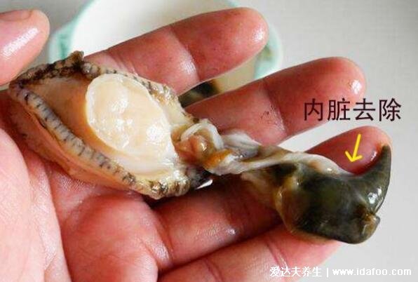 鮑魚吃哪些部位圖解，排泄口和內(nèi)臟很臟不能吃(附鮑魚怎么殺和清洗)