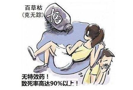 為什么百草枯必死無疑，口服中毒死亡率90%以上(局部接觸危害大)