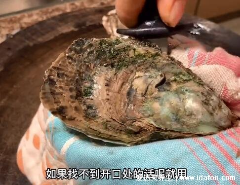 生蠔怎么開殼，3種方法教你開殼可借助生蠔刀微波爐(有視頻及圖解)