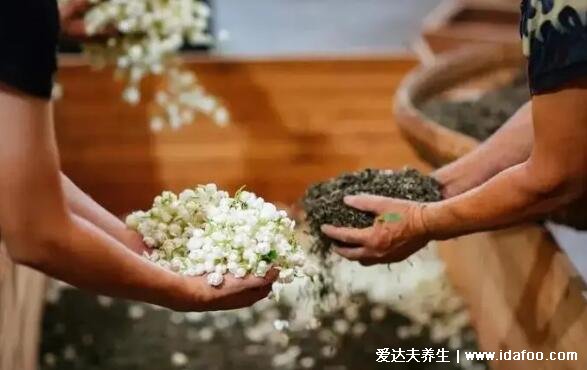 茉莉花茶的功效與禁忌，注意茉莉花茶6種人不要喝