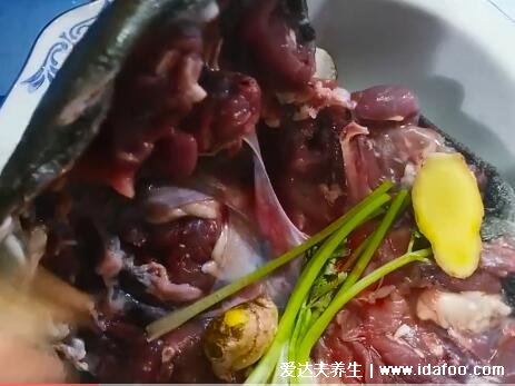 甲魚湯怎么做好喝又營養(yǎng)，清湯甲魚滋補簡單做法視頻(附殺甲魚的方法)