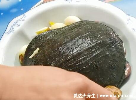 甲魚湯怎么做好喝又營養(yǎng)，清湯甲魚滋補簡單做法視頻(附殺甲魚的方法)