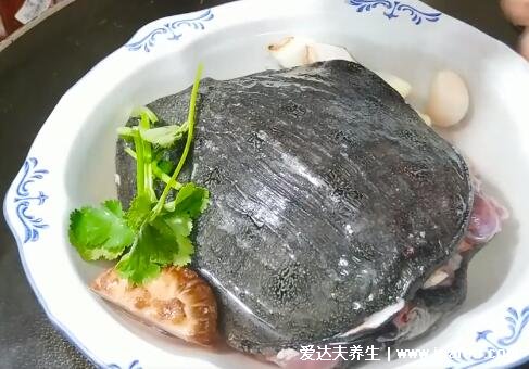 甲魚湯怎么做好喝又營養(yǎng)，清湯甲魚滋補簡單做法視頻(附殺甲魚的方法)