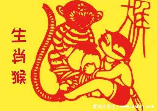 2022年最旺最順的生肖，屬兔的人遇貴人家庭和睦(有4個(gè)生肖)