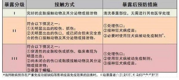 怎樣判斷用不用打狂犬疫苗，要看傷口程度二級三級要打(10種情況不用)