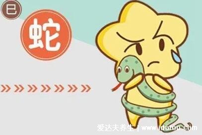 什么蛇是苦命蛇，6月份/3月份/9月份/11月份的屬蛇人(不同運(yùn)勢分析)