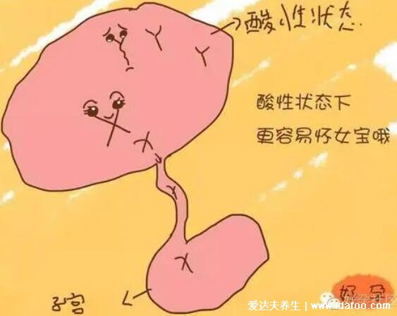 生女孩的科學(xué)方法，酸性狀態(tài)更易生女孩(注意4種方法)