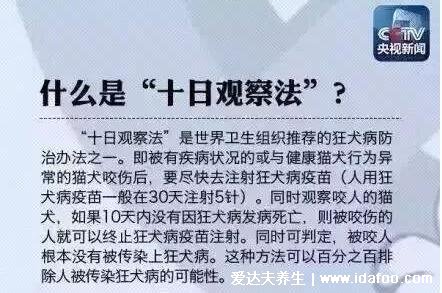 被貓抓傷多少天過(guò)危險(xiǎn)期，臨床上30到100天左右(10日觀察法)