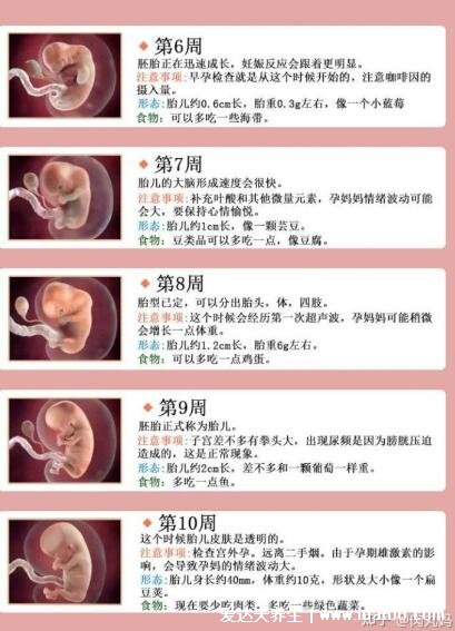 胎兒發(fā)育過程圖1至10個(gè)月，每個(gè)月寶寶變化圖解(18到20周胎動(dòng))