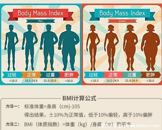 bmi正常值范圍是多少，最理想數(shù)值為22（±10%）/大于30肥胖