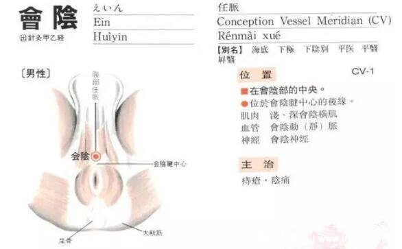 會陰穴的準(zhǔn)確位置圖和作用功效，每天按3分鐘益陰壯陽