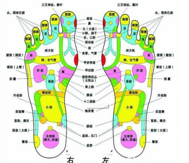 腳底按摩圖反射區(qū)圖片，按摩大腦反射區(qū)可治療頭痛