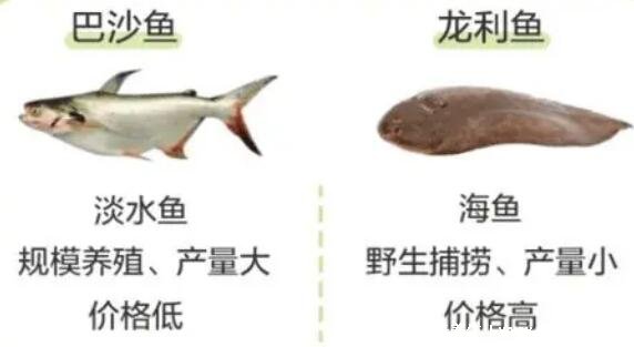 龍利魚和巴沙魚的區(qū)別，注意市場上難見到整條巴沙魚(4點不同)