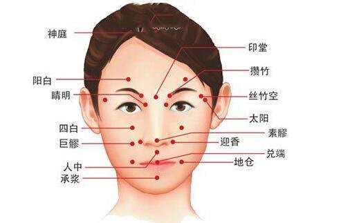 人體面部穴位圖美容部位圖，按摩承泣穴有助于去黑眼圈