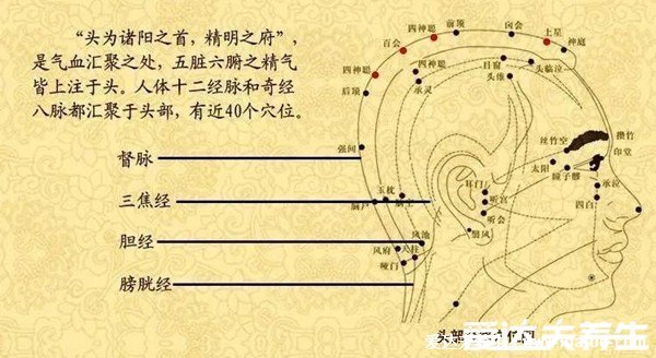 人體面部穴位圖美容部位圖，按摩承泣穴有助于去黑眼圈