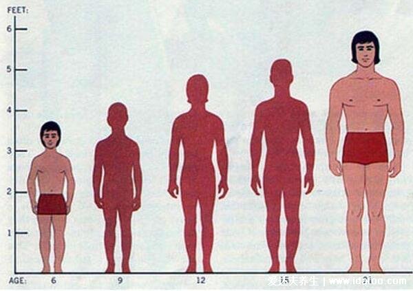 古代一尺等于多少米厘米換算，七尺男兒是多高(1米7左右)