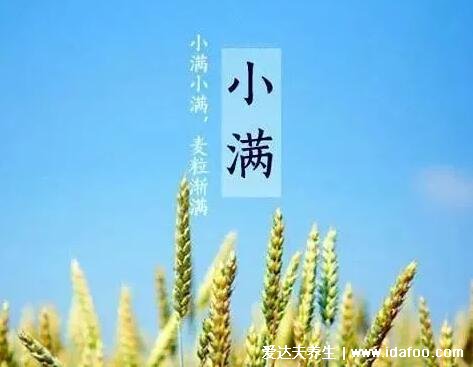 小滿節(jié)氣的特點和風俗，進入大幅降水的雨季(祭車神/吃苦菜) 