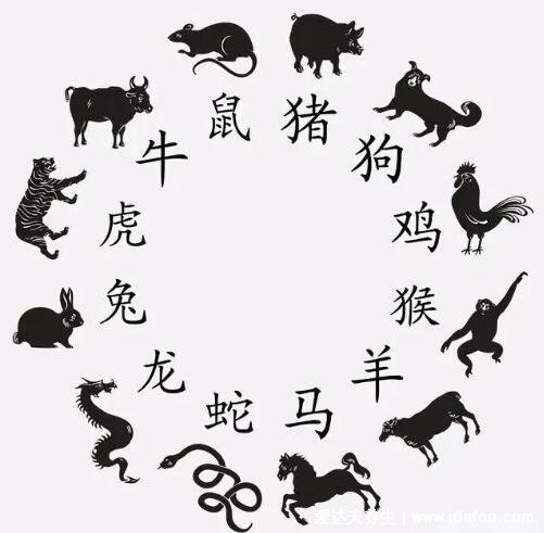 十二生肖夫妻相克表太準(zhǔn)了，鼠龍相配終身富貴幸福