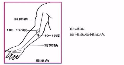 肘外翻圖片與正常胳膊對比，大于15度不符合征兵條件