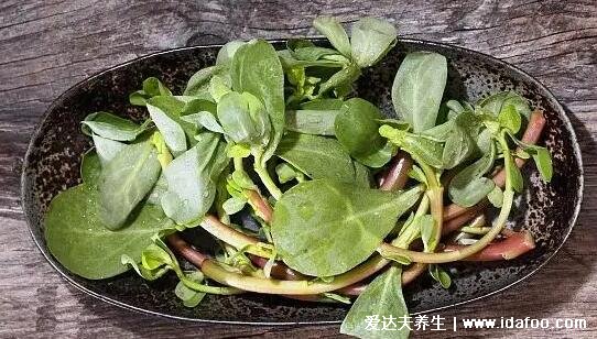 馬齒莧圖片功效與作用，降低膽固醇血液濃度是長壽菜(4大好處)