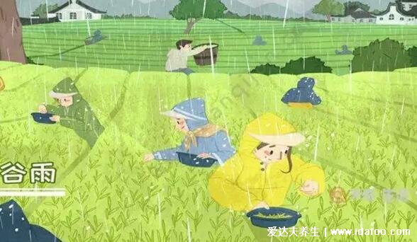 谷雨是什么意思，谷雨的來歷和風(fēng)俗有哪些(雨生百谷)