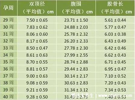 雙頂徑是什么意思，可看孕周/胎兒發(fā)育情況/體重(有圖表公式)